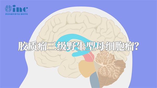 胶质瘤三级野生型母细胞瘤？