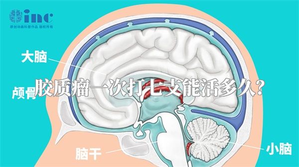 胶质瘤一次打七支能活多久？