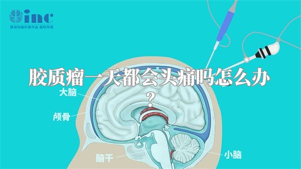 胶质瘤一天都会头痛吗怎么办？