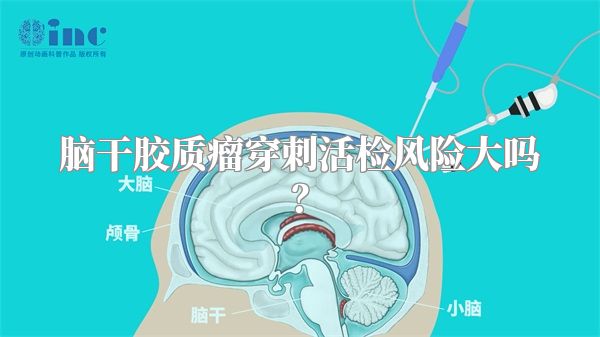 脑干胶质瘤穿刺活检风险大吗？