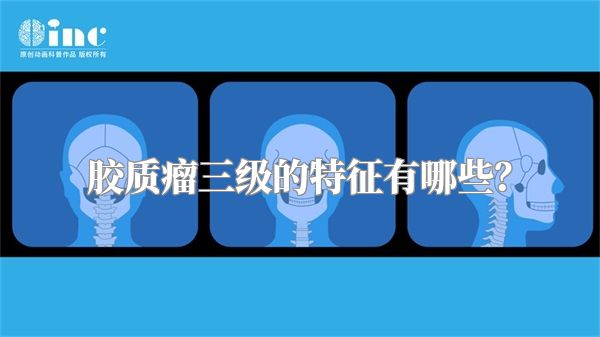 胶质瘤三级的特征有哪些？