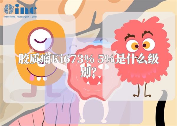 胶质瘤Ki673% 5%是什么级别？