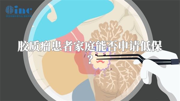 胶质瘤患者家庭能否申请低保？