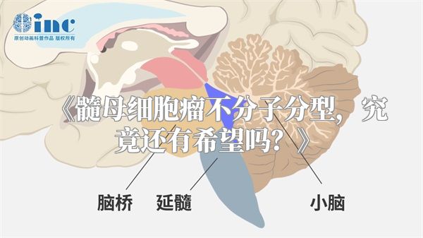 《髓母细胞瘤不分子分型，究竟还有希望吗？》