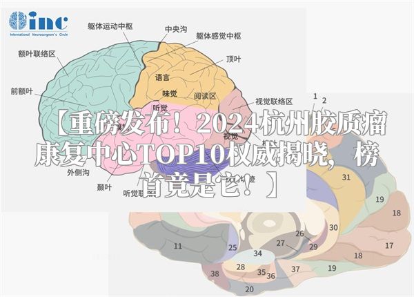 【重磅发布！2024杭州胶质瘤康复中心TOP10权威揭晓，榜首竟是它！】