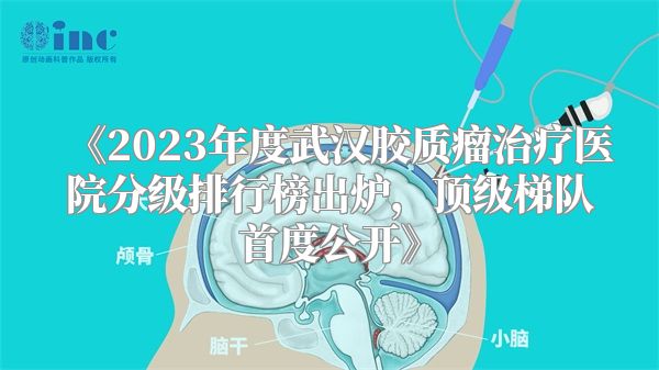 《2023年度武汉胶质瘤治疗医院分级排行榜出炉，顶级梯队首度公开》