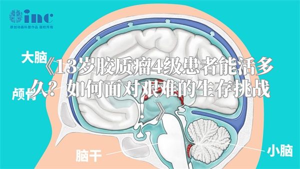 《13岁胶质瘤4级患者能活多久？如何面对艰难的生存挑战！》