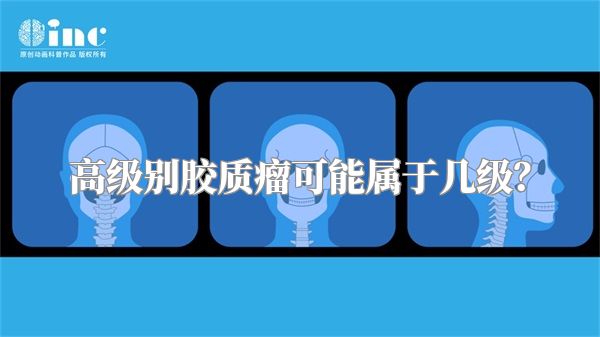 高级别胶质瘤可能属于几级？
