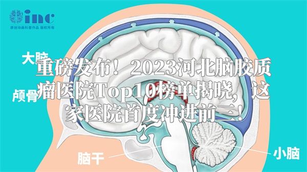重磅发布！2023河北脑胶质瘤医院Top10榜单揭晓，这家医院首度冲进前三！