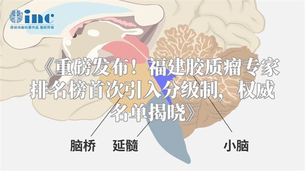 《重磅发布！福建胶质瘤专家排名榜首次引入分级制，权威名单揭晓》