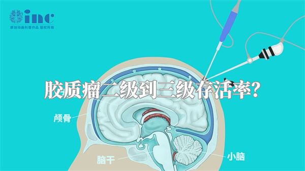 胶质瘤二级到三级存活率？