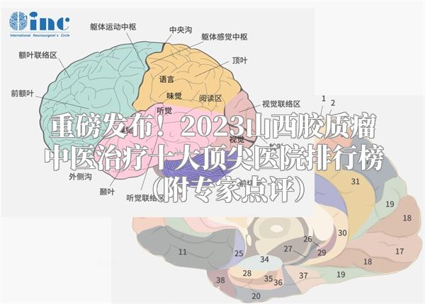 重磅发布！2023山西胶质瘤中医治疗十大顶尖医院排行榜（附专家点评）