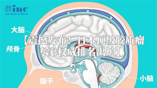 【震撼发布！日本顶级胶质瘤专家权威排名出炉】