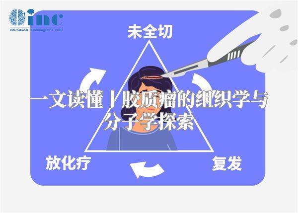一文读懂丨胶质瘤的组织学与分子学探索