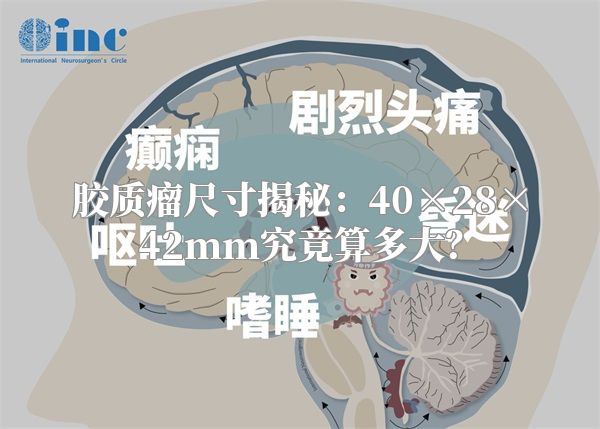 胶质瘤尺寸揭秘：40×28×42mm究竟算多大？