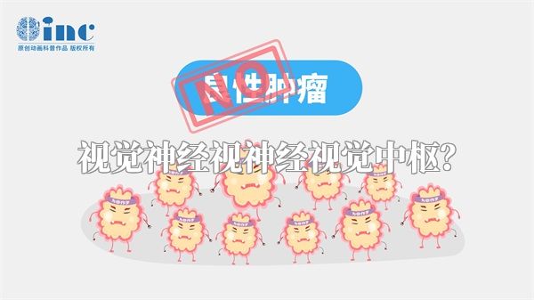 视觉神经视神经视觉中枢?