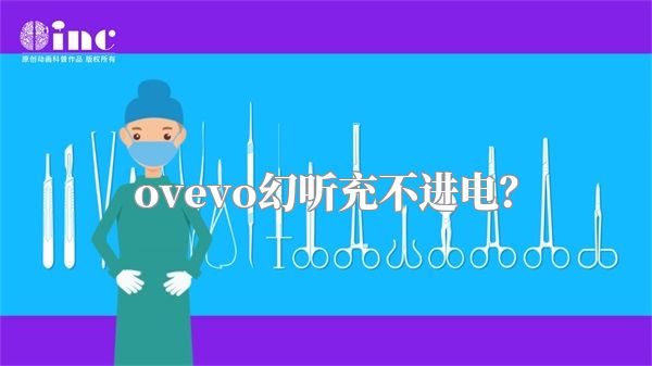 ovevo幻听充不进电？