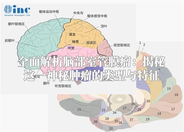 全面解析脑部室管膜瘤：揭秘这一神秘肿瘤的类型与特征
