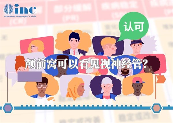 颅前窝可以看见视神经管？