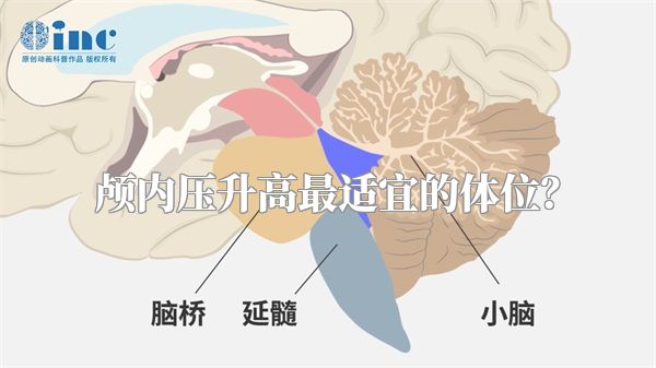 颅内压升高最适宜的体位？