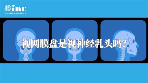视网膜盘是视神经乳头吗？