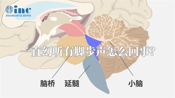 一直幻听有脚步声怎么回事？