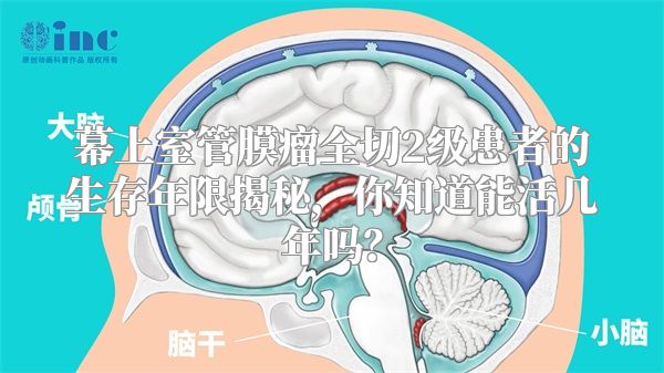 幕上室管膜瘤全切2级患者的生存年限揭秘，你知道能活几年吗？