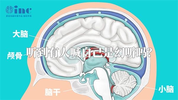 听到有人喊自己是幻听吗？