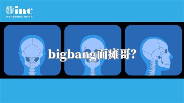 bigbang面瘫哥？