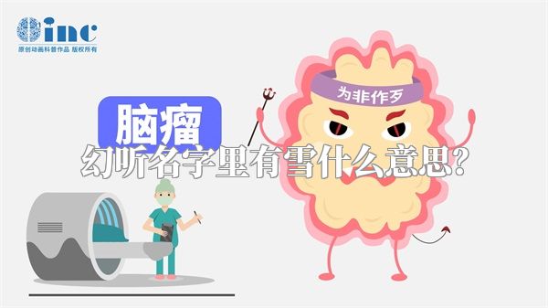 幻听名字里有雪什么意思？