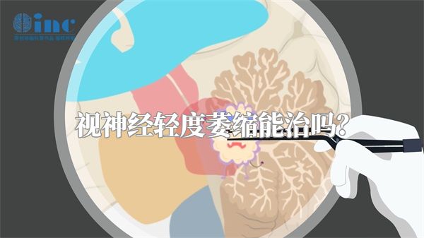 视神经轻度萎缩能治吗?
