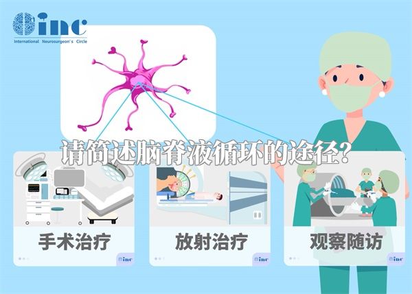 请简述脑脊液循环的途径？