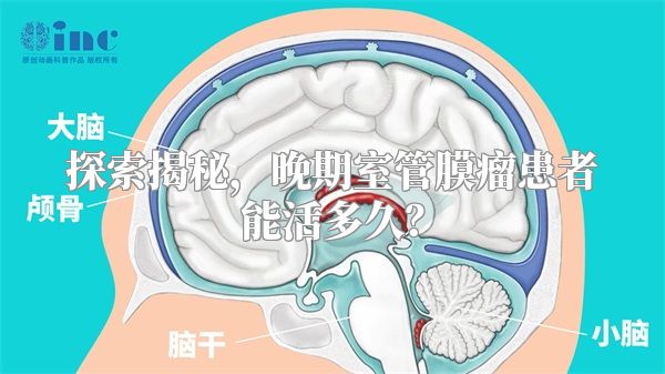 探索揭秘，晚期室管膜瘤患者能活多久？