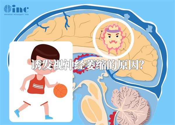 诱发视神经萎缩的原因?