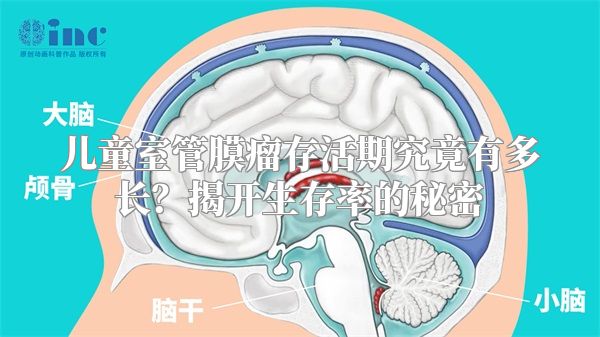 儿童室管膜瘤存活期究竟有多长？揭开生存率的秘密