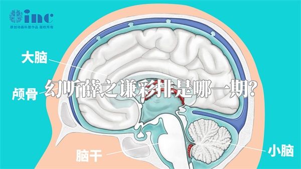 幻听薛之谦彩排是哪一期？