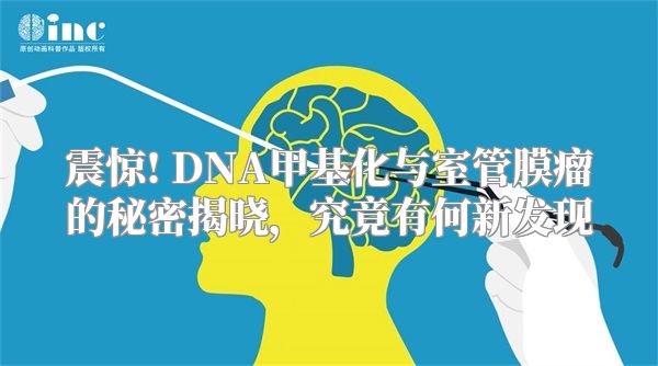 震惊! DNA甲基化与室管膜瘤的秘密揭晓，究竟有何新发现