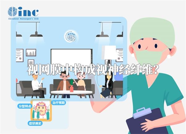 视网膜中构成视神经纤维?