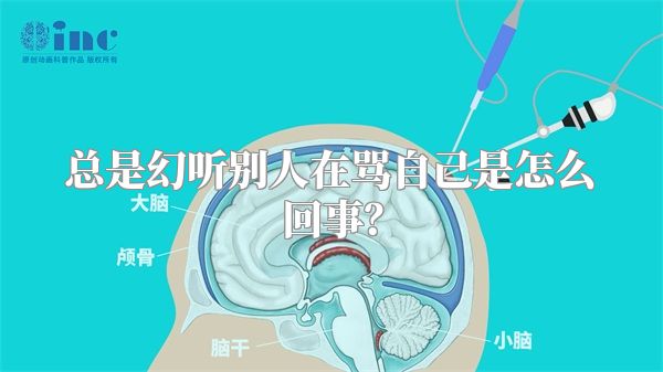 总是幻听别人在骂自己是怎么回事？