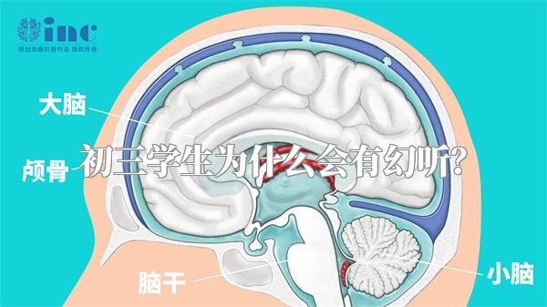 初三学生为什么会有幻听？