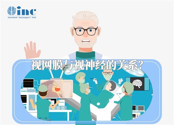 视网膜与视神经的关系?