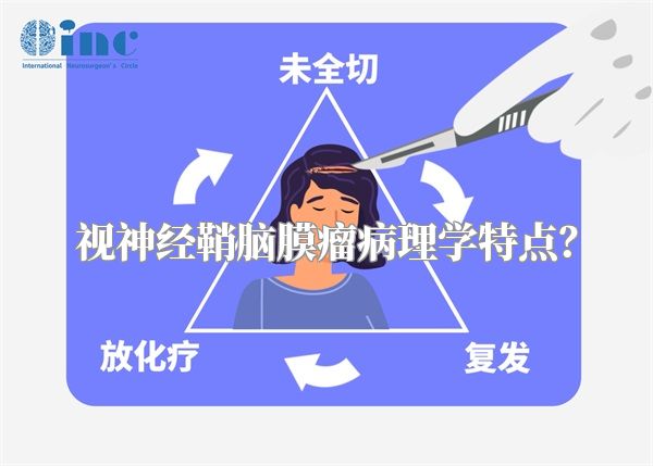 视神经鞘脑膜瘤病理学特点?