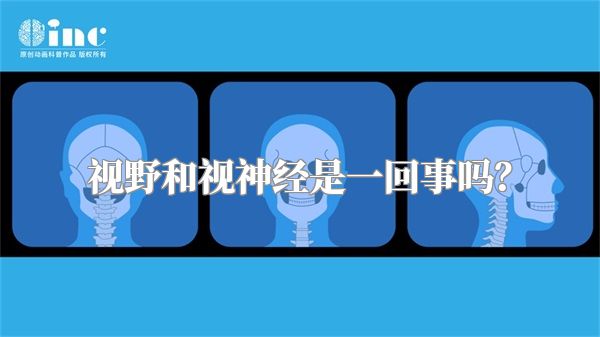 视野和视神经是一回事吗?