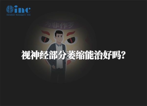 视神经部分萎缩能治好吗?