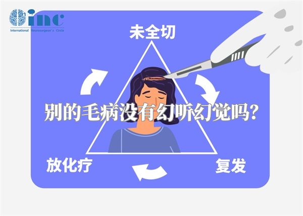 别的毛病没有幻听幻觉吗？