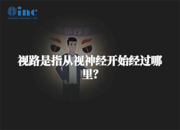视路是指从视神经开始经过哪里？