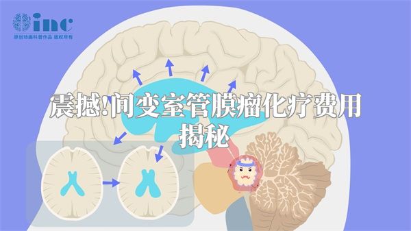 震撼!间变室管膜瘤化疗费用揭秘