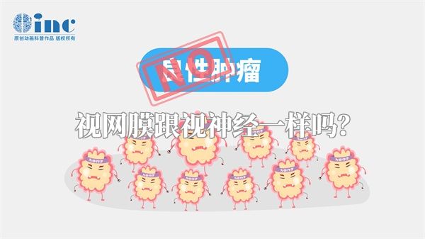 视网膜跟视神经一样吗？
