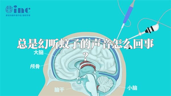 总是幻听蚊子的声音怎么回事？