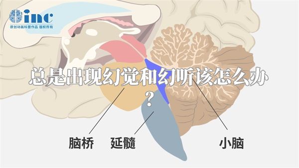 总是出现幻觉和幻听该怎么办？